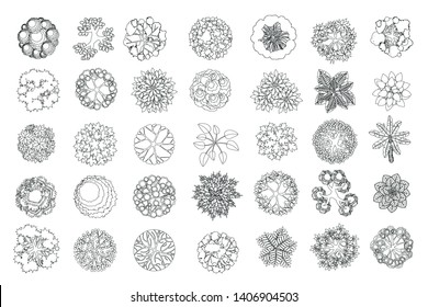 Vector set. Trees, bushes and plants. Top view. Collection for landscape design, plan, maps. (View from above) 