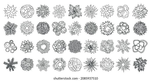 Vector set. Trees, bushes and plants. Top view. Collection for landscape design, plan, maps. (View from above) 