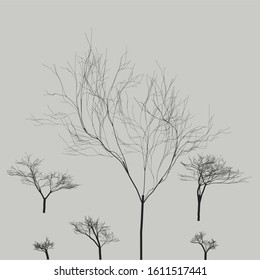 vector set of trees of different heights and structures