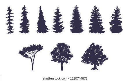 Vector set of trees of different shapes.