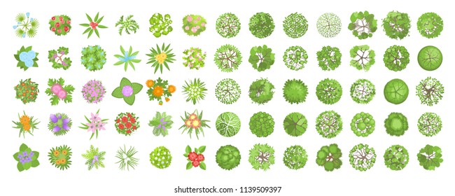 Vector set. Trees and flowers. Top view. Different plants and trees vector set for architectural or landscape design. (View from above) Nature green spaces.