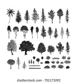 Vector set of trees, grass and bushes. Hand drawn sketch isolated on a white background