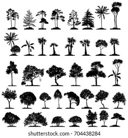 vector set of trees, hand drawn isolated natural elements