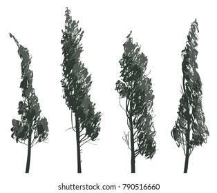 Vector set of trees isolated on white background. Pencil drawing of sketches of trees