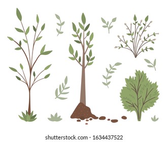 Vector set of trees, plants, shrubs, bushes, twigs isolated on white background. Flat spring garden illustration. Gardening or forest icons collection