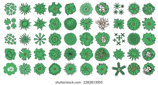 Vector set. Trees top view. Different plants and trees vector set for architectural or landscape design. (View from above) Nature green spaces. Tree set lines.