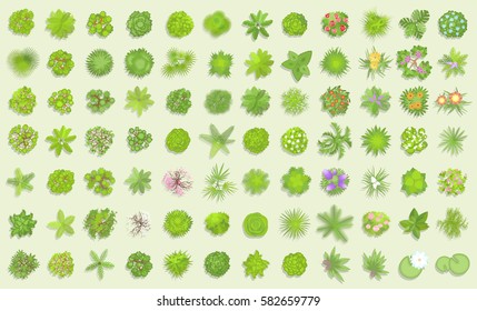 Vector set. Trees top view. Different plants and trees vector set for architectural or landscape design. (View from above) Nature green spaces.