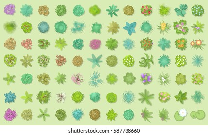 Vector set. Trees top view. Different plants and trees vector set for architectural or landscape design. (View from above) Nature green spaces. 