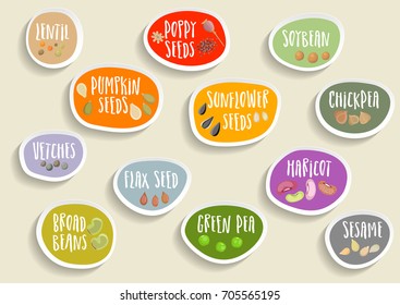 Vector set of trendy colorful paper stickers with beans, seeds and lettering. For packaging and advertising healthy food.