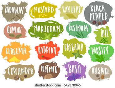 Vector set of trendy emblems for spices packing. Various natural herbal seasoning for food preparation with handwritten lettering on blots.