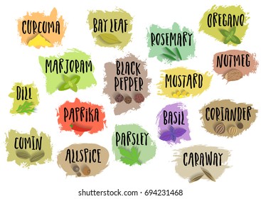 Vector set of trendy emblems for spices packing. Various natural herbal seasoning for food preparation with handwritten black lettering on blots.