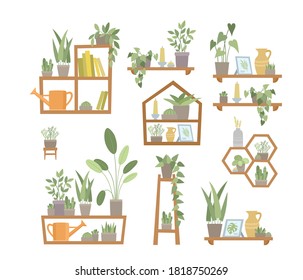 Vector set of trendy home decor with plants in pots, standing on shelf. Flat design of urban jungle, cozy living room used for magazine, book, poster, website, banner, brochure.