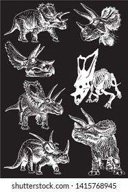 Vector set of triceratops  isolated on black, graphical engraved illustration
