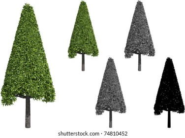 Vector set of trimmed Willow trees