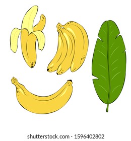 Vector set with tropical bananas