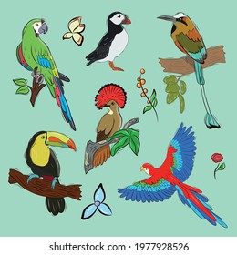 Vector set of tropical birds. Colorful painted birds. Collection of stickers with birds.