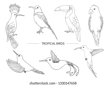 1,478 Hoopoe drawing Images, Stock Photos & Vectors | Shutterstock