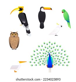 Vector set of tropical birds isolated on white background. Cockatoo, Parrot, Hornbill, Owl, Peacock, Pelican, Toucan.