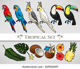 Vector set of tropical birds, palm leaves and fruit 