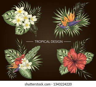 Vector set of tropical compositions with hibiscus, plumeria, strelitzia flowers, monstera and palm leaves on black background. Bright realistic watercolor style exotic design elements