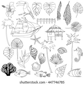 Vector set of tropical elements