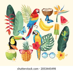 Vector set of tropical flora and fauna