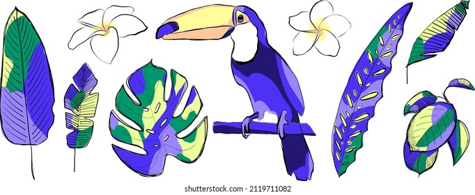 Vector set of tropical floral elements. Jungle collection. Flower graphic design. Tropical leaves, flowers, bird toucan. Hand drawn botany set.