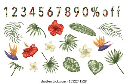 Vector set of tropical flowers and leaves isolated on white background. Bright realistic collection of exotic design elements. Numbers filled with tropic pattern. Good for sale or promo events