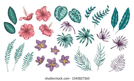 Vector set of tropical flowers and leaves isolated on white background. Bright realistic collection of exotic design elements. 