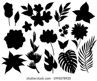 Vector set of tropical flowers and leaves silhouettes isolated on white background