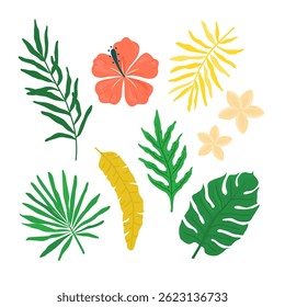 Vector set of tropical flowers and leaves. Monstera, palm, Hibiscus, Plumeria. Isolated color elements on white background. Editable template for print, cards, posters and designs. Hand drawn in flat 