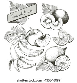 Vector set of tropical fruits. Banana, peach, lemon, kiwi and palm leaves in vintage engraved style. Hand drawn exotic organic tasty fruits isolated on white background. 