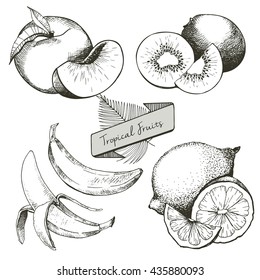 Vector set of tropical fruits. Banana, peach, lemon, kiwi and palm leaves in vintage engraved style. Hand drawn exotic organic tasty fruits isolated on white background. 