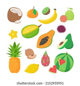Vector set of tropical fruits isolated on white background. Vegetarian food. Exotic flat cartoon illustration.