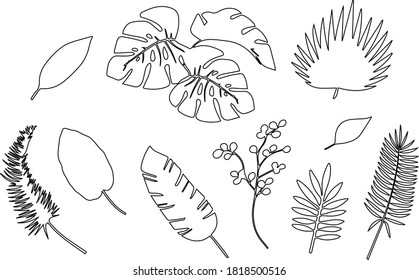Vector set of tropical green palm leaves outlines isolated on white background
