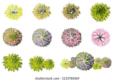 Vector set of tropical green tree and flower top view isolated on white background for landscape plan and architecture drawing, elements for environment and garden,botanical