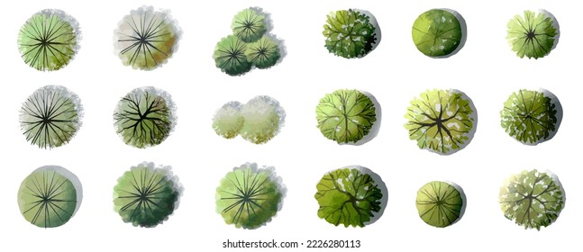  Vector set of tropical green tree top view isolated on white background for landscape and architecture drawing, elements for environment and garden