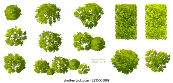  Vector set of tropical green tree top view isolated on white background for landscape  plan and architecture drawing, elements for environment and garden