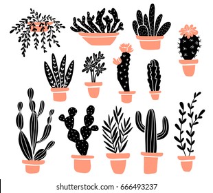 Vector set of tropical house  plants in scandinavian style. Isolated elements on the white background.