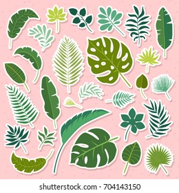 Vector set of tropical leaves. 