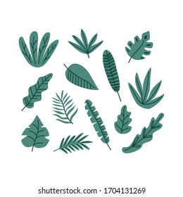 Vector set of tropical leaves. Design elements. 