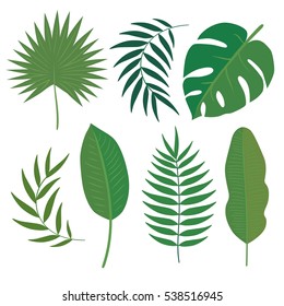 Vector Set Of Tropical Leaves. Flat Design Illustration