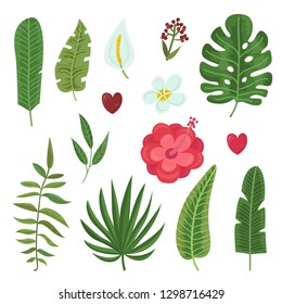 Vector set of tropical leaves and flowers. Vector illustration for your design