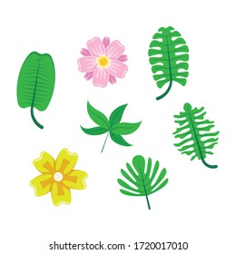 Vector set of tropical leaves & flowers. Palm, banana leaf, hibiscus, plumeria flowers.