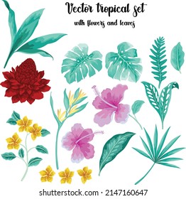Vector Set With Tropical Leaves And Flowers Isolated. Monstera Leaves, Areca Palm Leaves, Hibiscus Flowers, Ginger Flower, Frangipani, Heliconia. Multicolor Hawaiian Compilatoin. Evergreen Jungle.