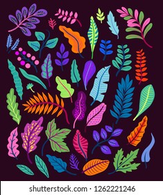 Vector set of tropical leaves in folk style. Exotic oriental plants. Bright various leaves on a black background.