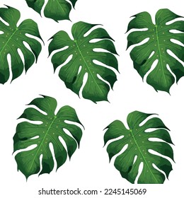 Conjunto vectorial de hojas tropicales. Palm dibujada a mano ilustra el conjunto de vectores de acuarela