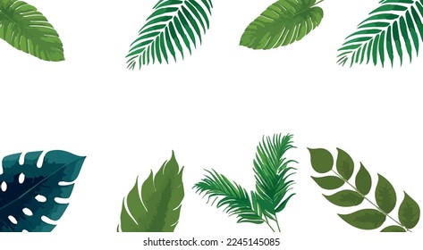 Vector set of tropical leaves. Hand drawn Palm leaves illustration in watercolor vector set