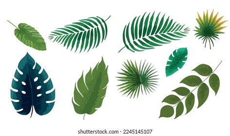 Vector set of tropical leaves. Hand drawn Palm leaves illustration in watercolor vector set