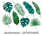 Vector set of tropical leaves. Hawaiian plants set. Wildlife green plants and jungle fresh foliage. Vector elements isolated on a white background. Hello summer set graphic elements in flat design.
